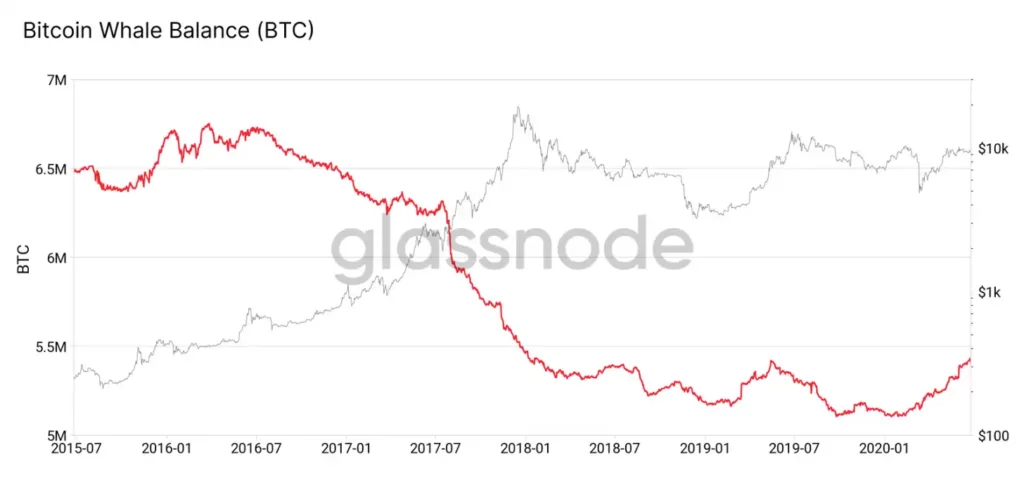 Bitcoin Whale Balance over 5 Years_Glassnode
